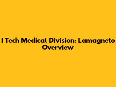 I Tech Medical Division: Lamagneto Overview